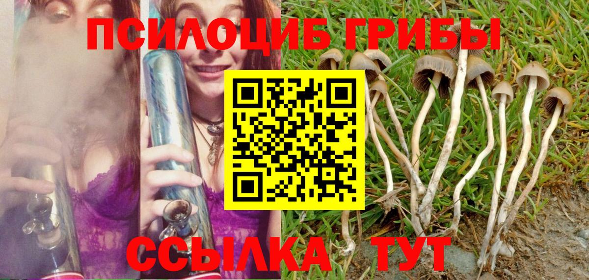 Псилоцибиновые грибы Cubensis Алейск
