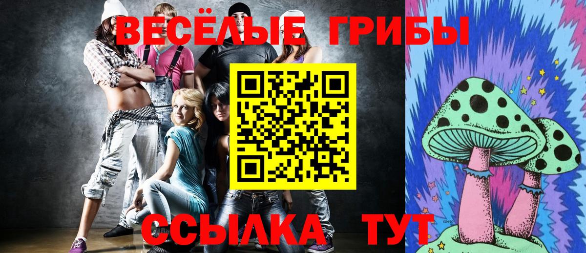 Алейск  Галлюциногенные грибы Cubensis  Вход с VPN 